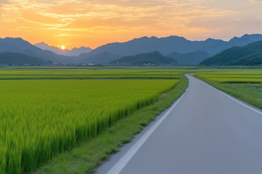 Similar image 22087177