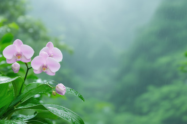 Similar image 22087183