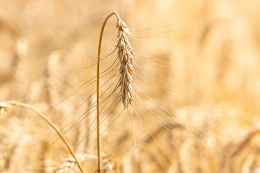 Similar image 22061383