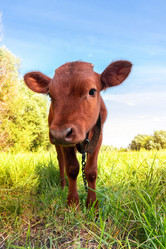 Similar image 22061387