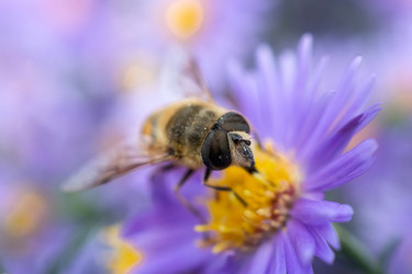 Similar image 22061388