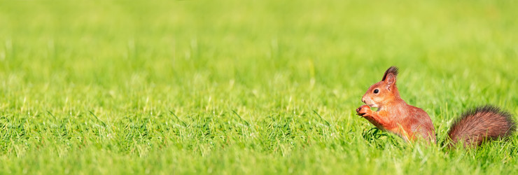 Similar image 22061391