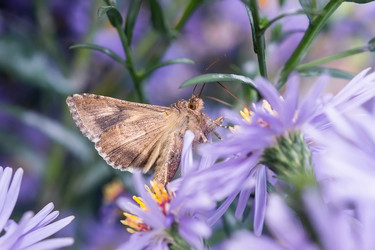 Similar image 22061393