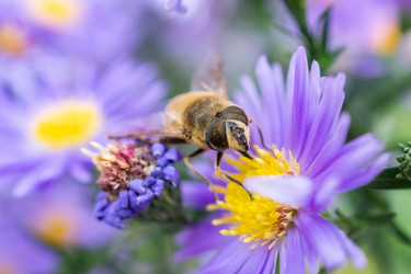 Similar image 22061403