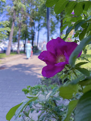 Similar image 22074077