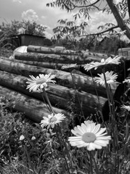 Similar image 22074079