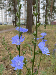 Similar image 22074080