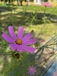 Similar image 22074082