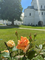 Similar image 22074086