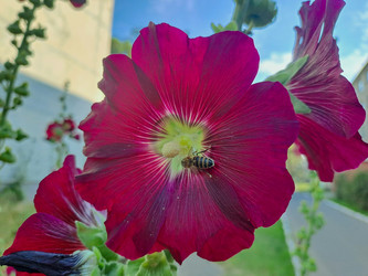 Similar image 22074087