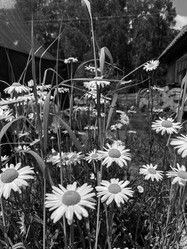 Similar image 22074088