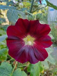 Similar image 22074089