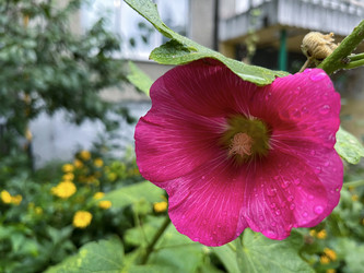 Similar image 22074090