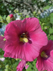 Similar image 22074091