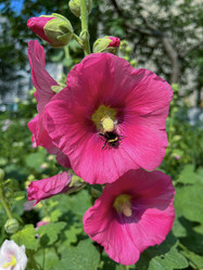 Similar image 22070081