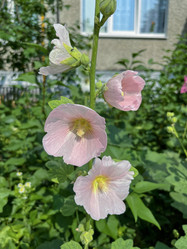 Similar image 22070099