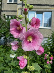 Similar image 22070140