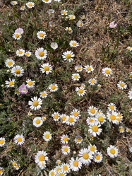 Similar image 22070141