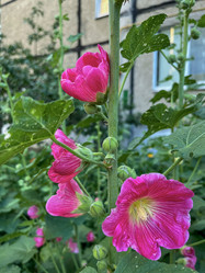 Similar image 22070147