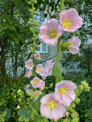 Similar image 22070148