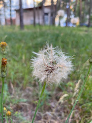 Similar image 22070192