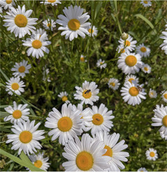 Similar image 22070193