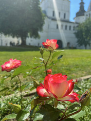 Similar image 22070223