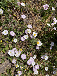 Similar image 22070251