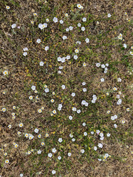 Similar image 22070252