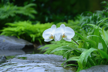 Similar image 22087358