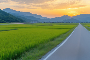 Similar image 22087360