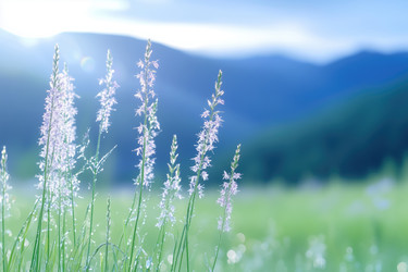 Similar image 22077726