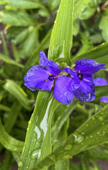 Similar image 22072635