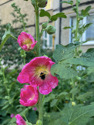 Similar image 22072639