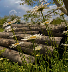 Similar image 22072640