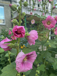 Similar image 22072645