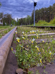 Similar image 22073670