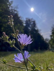 Similar image 22073764