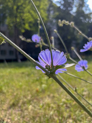 Similar image 22073934