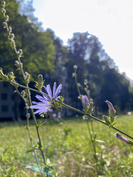 Similar image 22073935