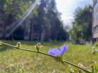 Similar image 22073937