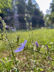 Similar image 22073938