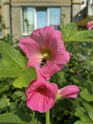 Similar image 22073940