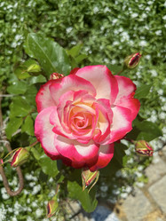 Similar image 22073941