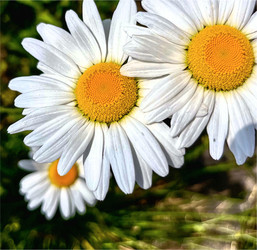 Similar image 22073942