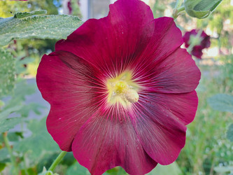 Similar image 22073945