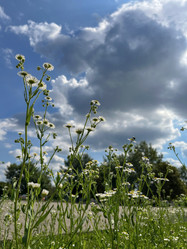 Similar image 22073947