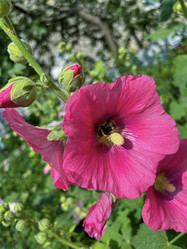 Similar image 22073948