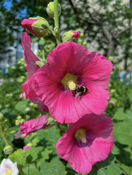 Similar image 22073950