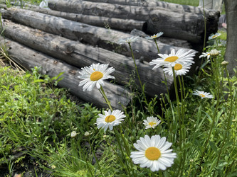 Similar image 22073951